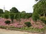 53777CIMG0243.JPG