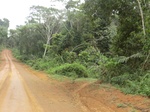 47718CIMG4055.JPG