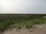 53822CIMG0371.JPG