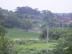 887R0015400_small.jpg
