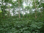 20026P1010876.JPG