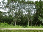20100P1010951.JPG