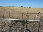 39195ERIC20110816W.JPG