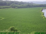 1178R0015038_tag.jpg