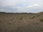 36645CIMG0414.JPG