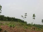 50678CIMG1307.JPG