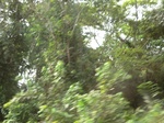 47489CIMG3826.JPG