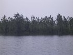 1359R0015129_small.jpg
