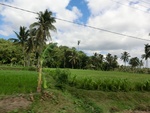 31167CIMG1029.JPG