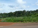25153P1010992.JPG