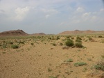 36775CIMG0545.JPG