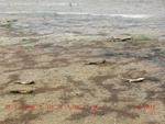 39101CIMG4804.gps.jpg
