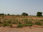18982P1000826.JPG