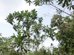 49534CIMG5871.JPG