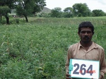 129480264c-rainfed-agriculture-mixedcrop-cotton-dominant-maize.gif