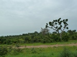 18747P1000585.JPG