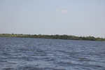 2024-08-05_17-04-34_44055AC9-29C4-41C0-9C23-81EF4CA6C785.jpeg