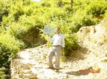 6606gt081-shrubland-1.jpg