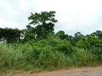 18279P1000115.JPG