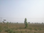 9081RIMG0161.JPG