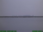 1374R0015136_tag.jpg