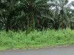 44814CIMG1999.JPG