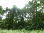 20254P1020109.JPG