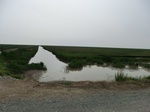 53782CIMG0248.JPG
