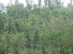 53676CIMG7059.JPG