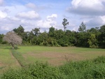 33418RIMG0158.JPG
