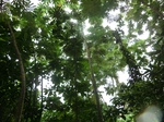 45585CIMG2670.JPG