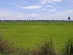 26206RIMG0258.JPG
