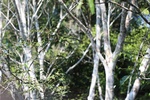 2024-08-05_16-54-14_A83020DA-68C4-472C-BE64-8D3AF929FCCB.jpeg