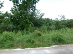 21056P1020928.JPG