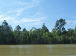 54683Bulungan (178).JPG