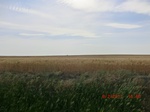 29699CIMG0994.JPG