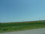 21464P1010109.JPG