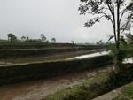 30749CIMG0589.JPG