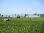 15441IMG_4317.JPG