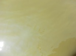 58467CIMG2917.JPG