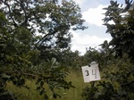 12210GT034_savannah.JPG