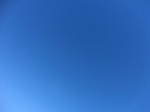 43159CIMG0188.JPG