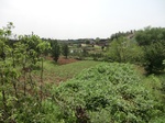 51720CIMG0709.JPG