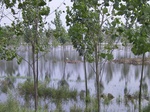 508R0015054.jpg