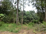 47139CIMG3476.JPG