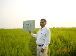 11407gt171-cropland-1.jpg