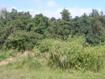21417RIMG0041.JPG