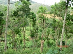 53442CIMG6775.JPG