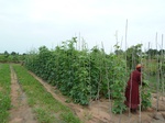 18739P1000577.JPG