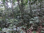 45734CIMG2819.JPG
